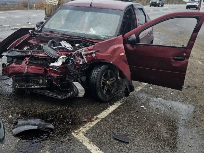    Фото: УМВД Белгородской области