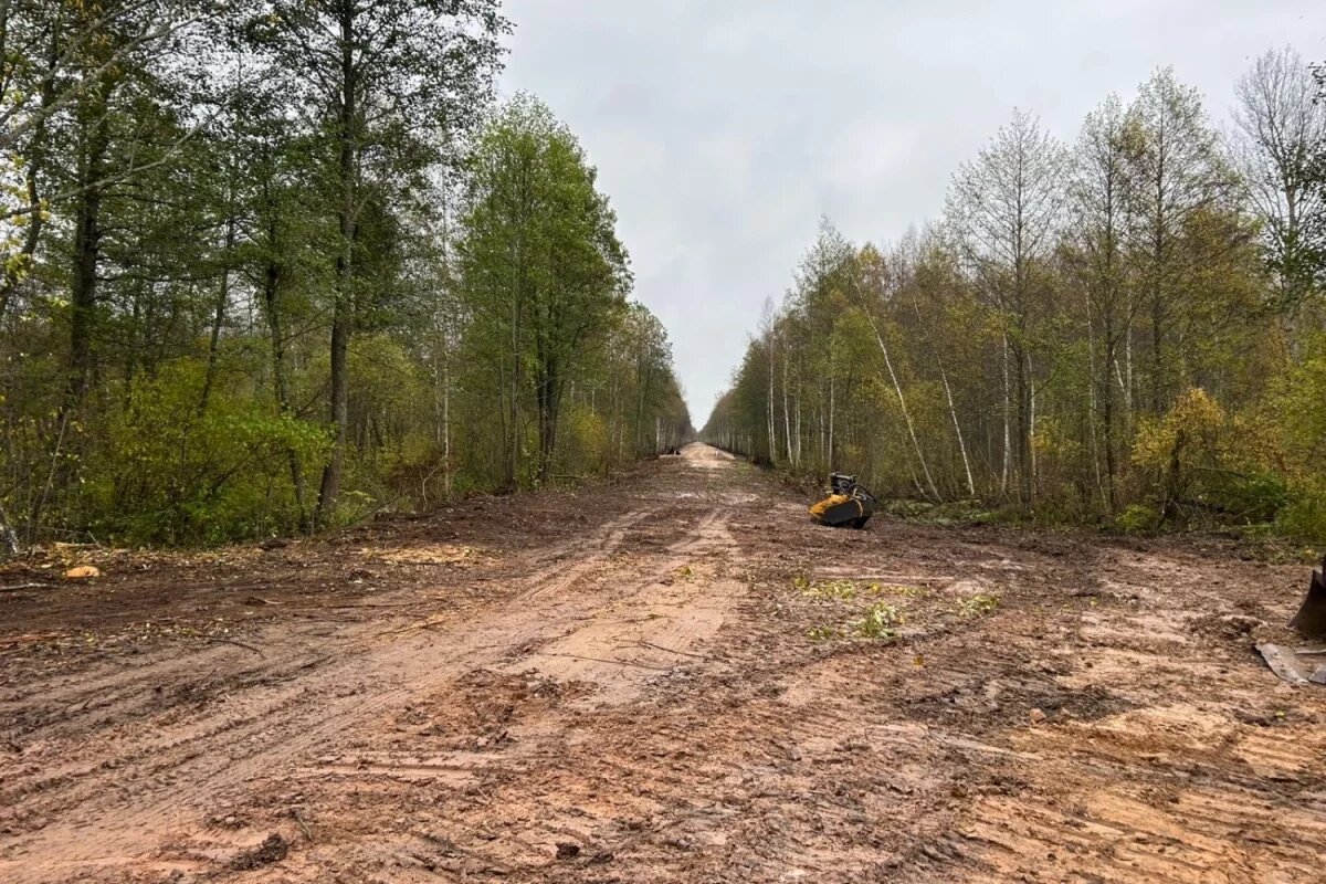    В Бежаницком районе ремонтируют участок дороги в заповедному Полистовью