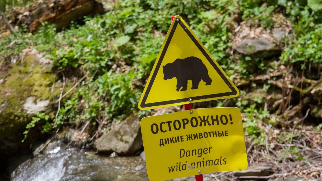    Ilya Galakhov/Global Look Press/Globallookpress