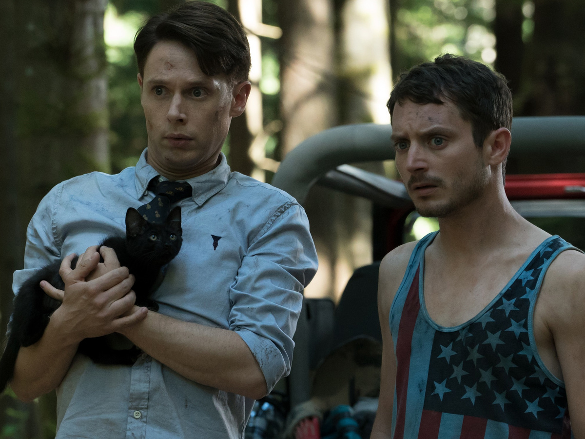 Котенок, кстати, важный элемент повествования