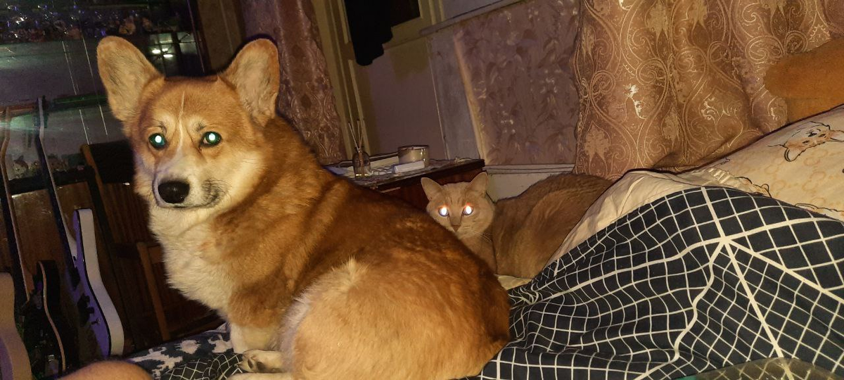 «Разные взгляды — одна цель»