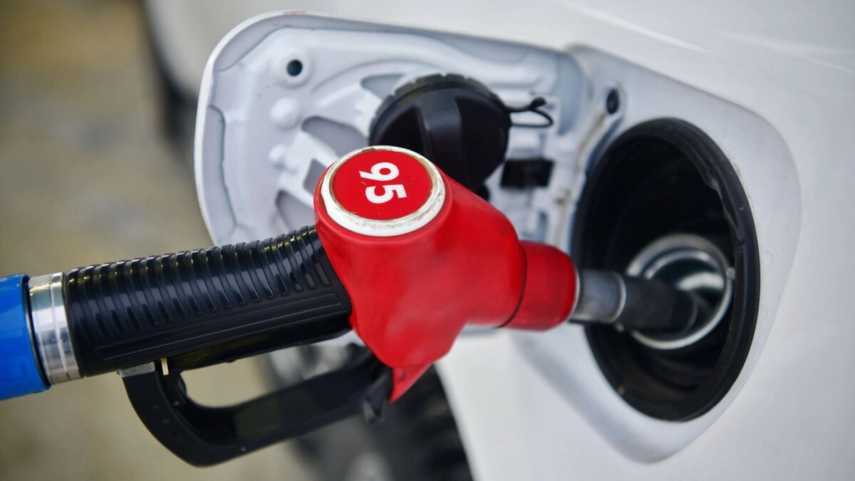    Фото: Андрей Ткачев / «Ямал-Медиа»