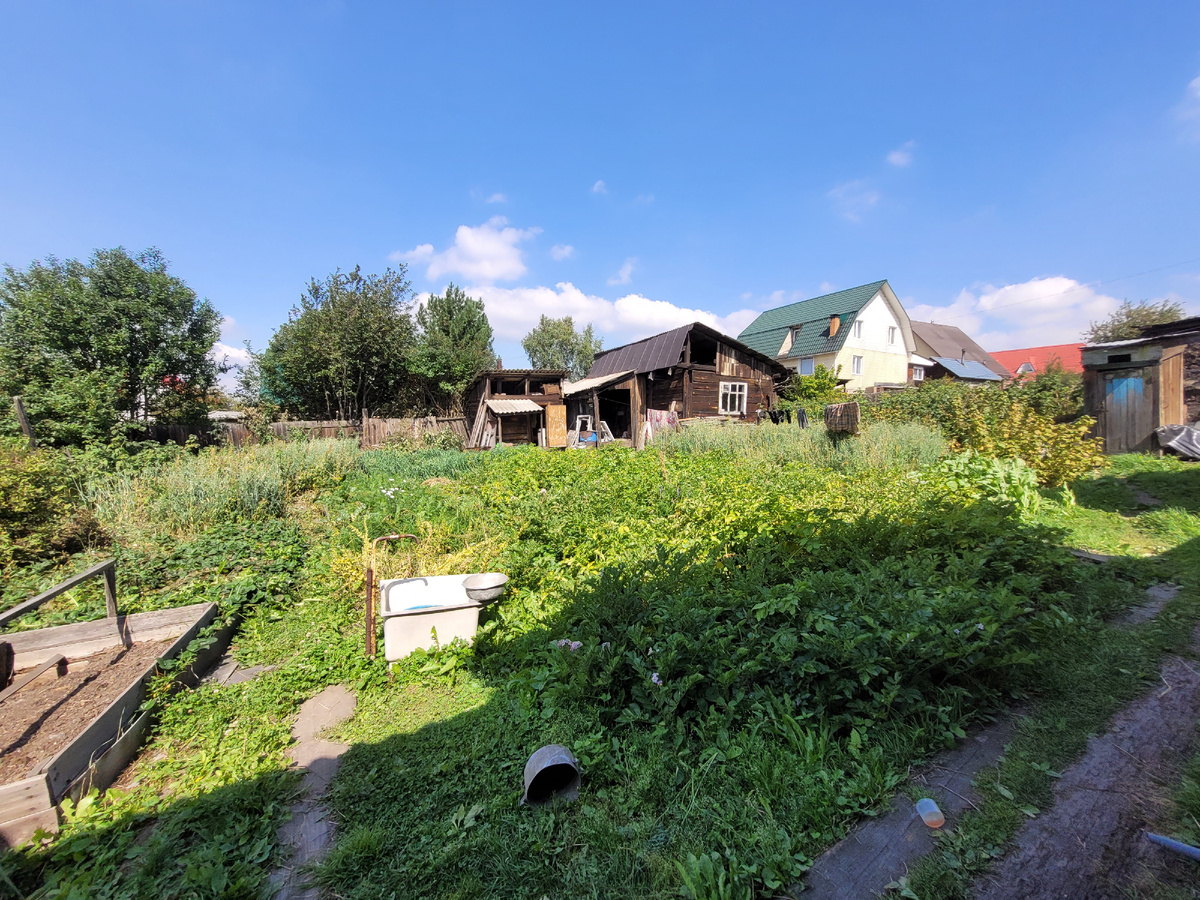 Мои почти 6 соток почти свободы) в начале нашего совместного пути