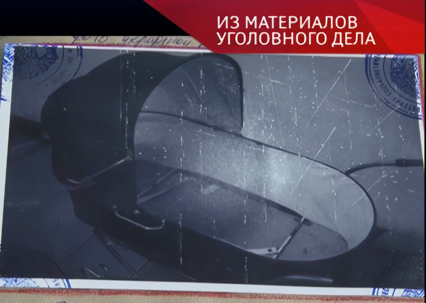 Фото: скриншот программы "Следствие вели"