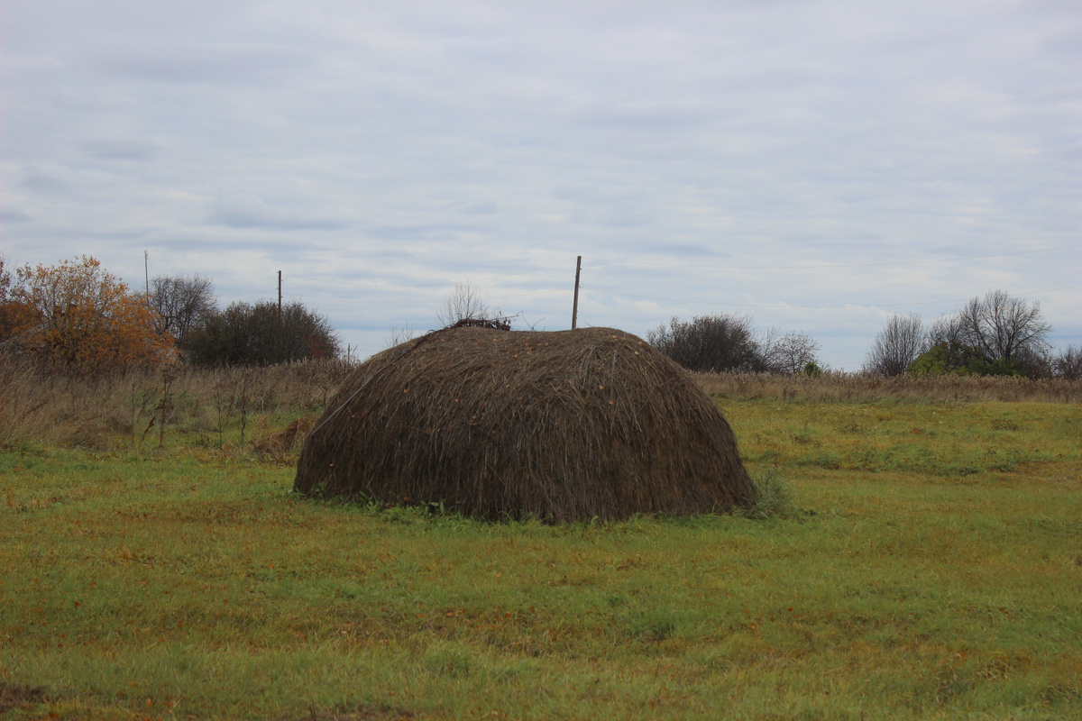 Аккуратные стожки сена "разбросаны" по всей деревне 