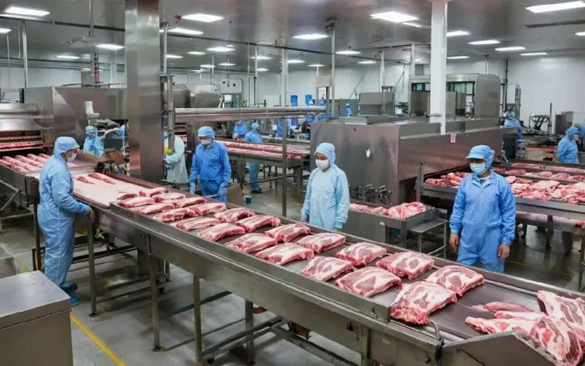    Воронежский мясник «Аргус» сменил название и адрес после приостановки работы из-за антисанитарии Иллюстрация сгенерирована нейросетью Kandinsky