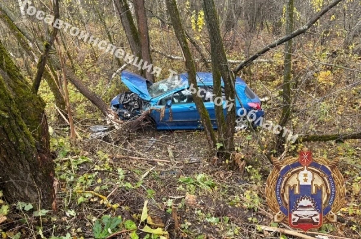    В Ясногорском районе иномарка съехала в кювет и врезалась в дерево