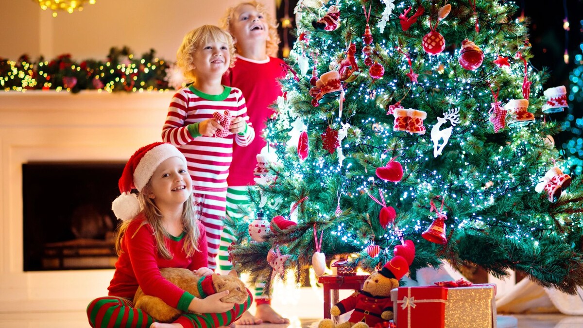    Фото: FamVeld/Shutterstock/Fotodom