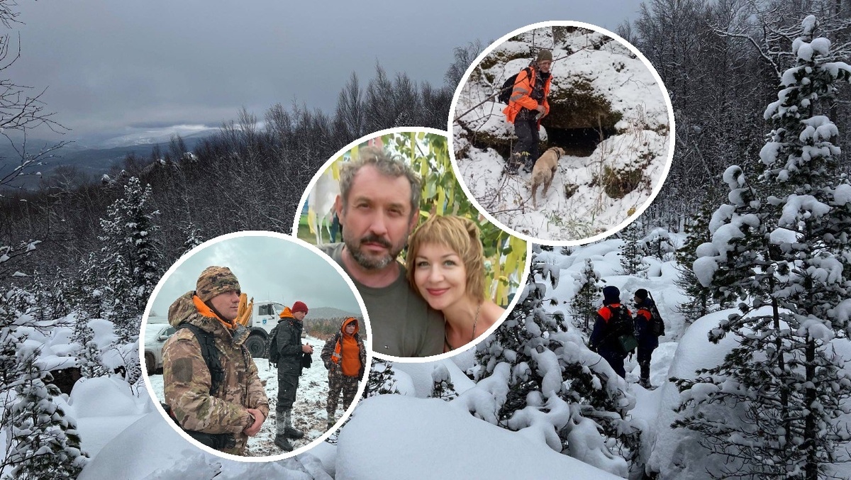 Фото: t.me/lizaalert24krsk / тг-канал ДПСО «ЛизаАлерт» Красноярского края; соцсети