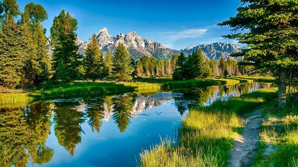 Удивительный мир природы