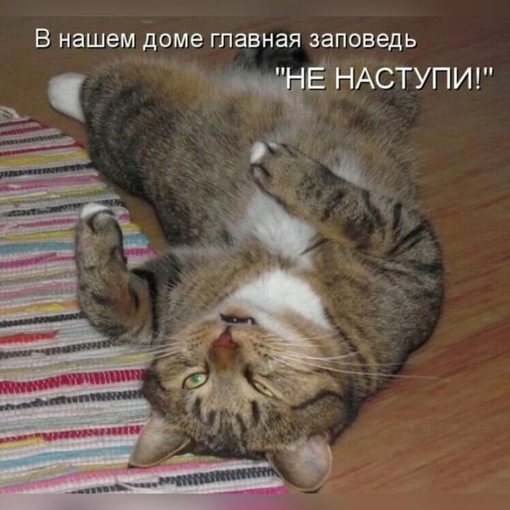 иллюстрация из яндекс картинки.