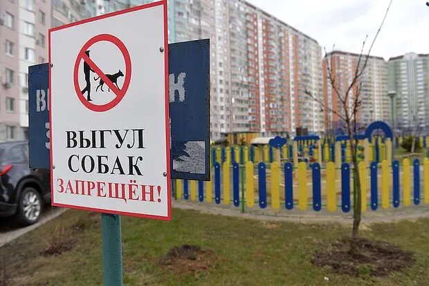    Фото: lenta.ru Мария Михайлова