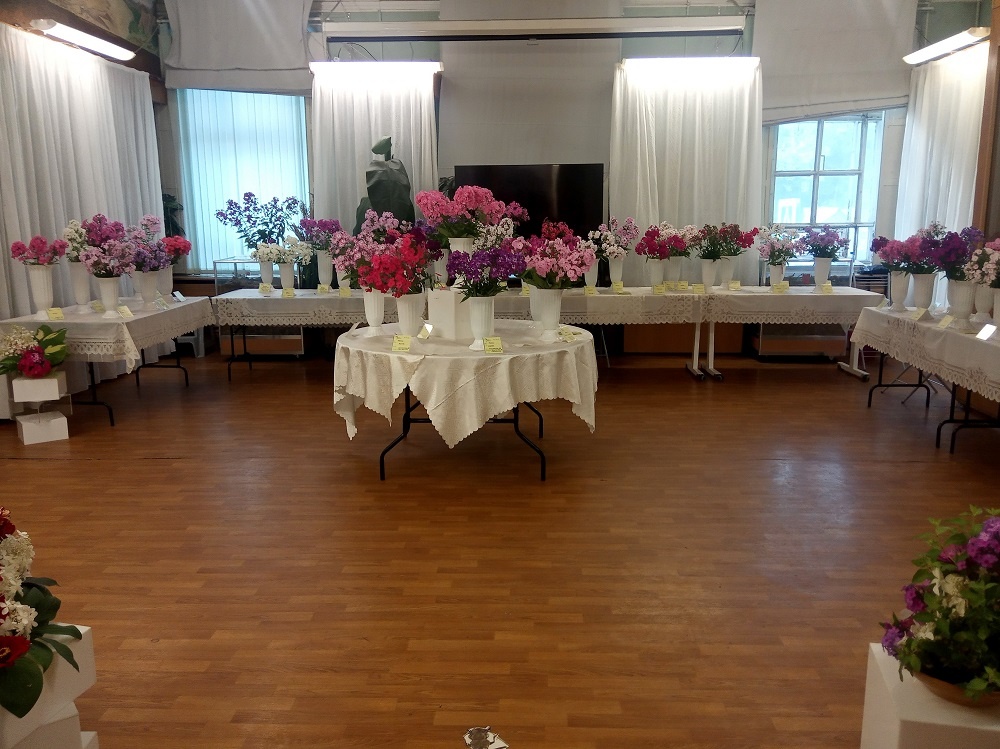 Фрагменты экспозиции