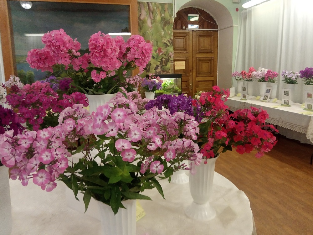 Фрагменты экспозиции