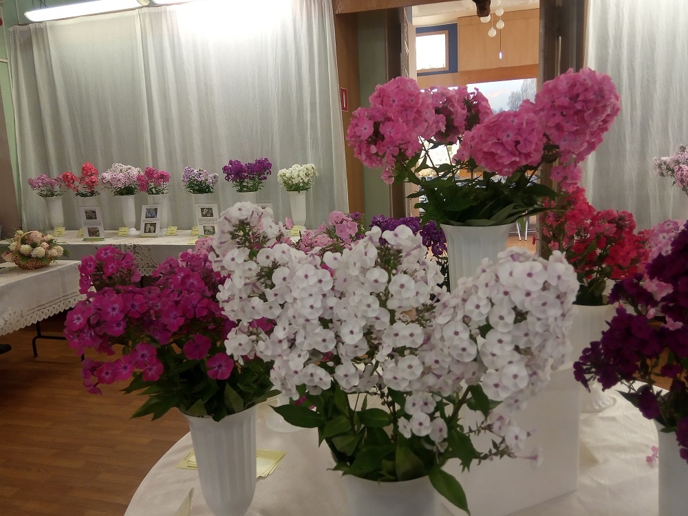 Фрагменты экспозиции