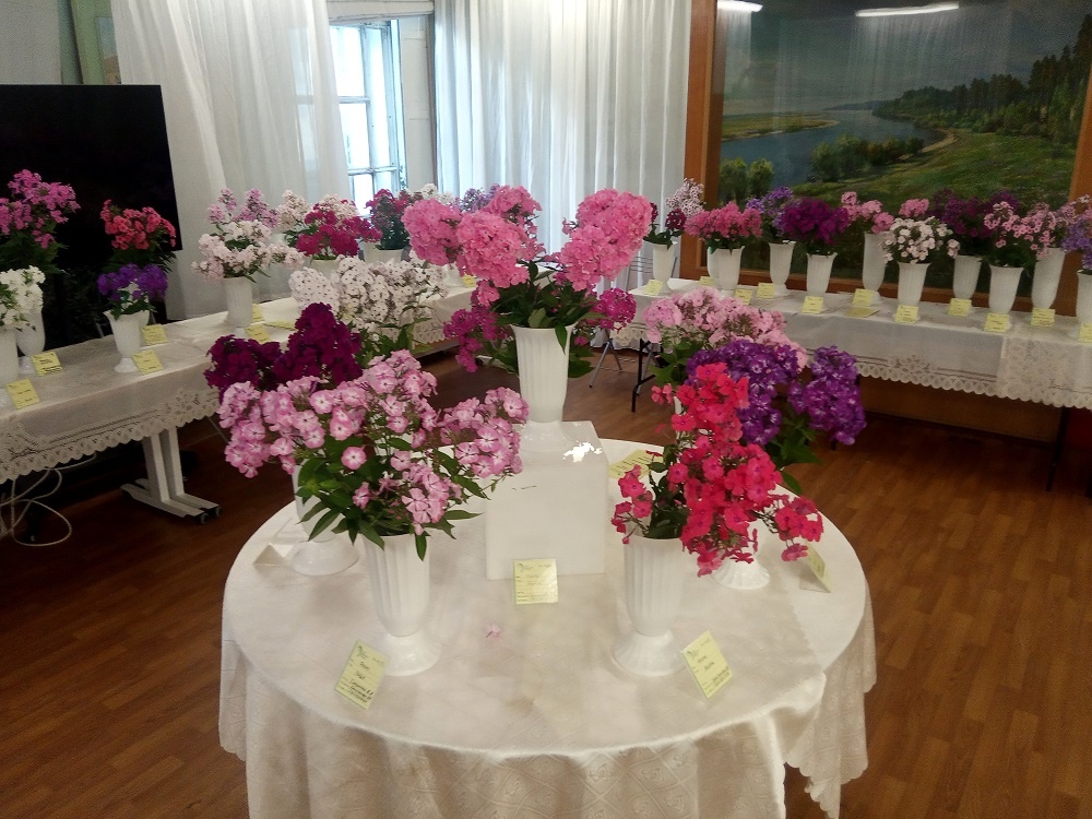 Фрагменты экспозиции