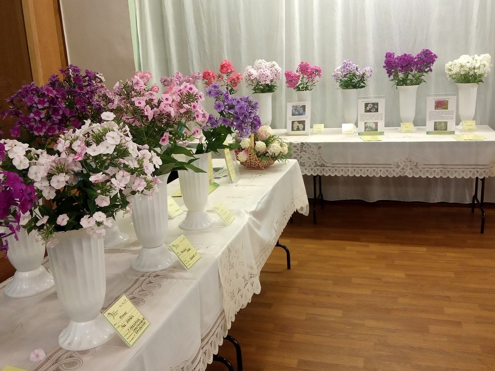 Фрагменты экспозиции