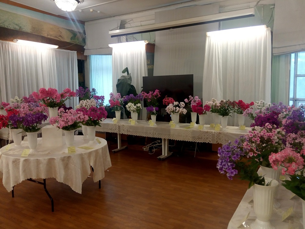 Фрагменты экспозиции