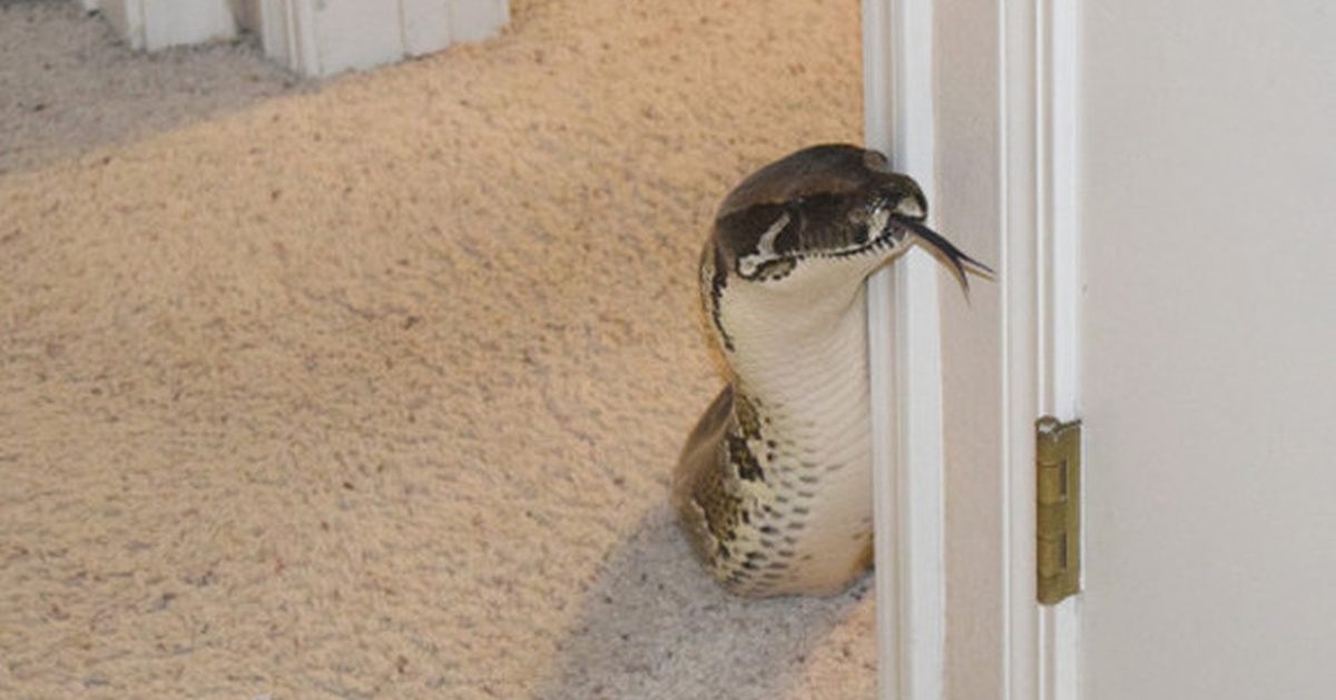 Источник: memondo.com