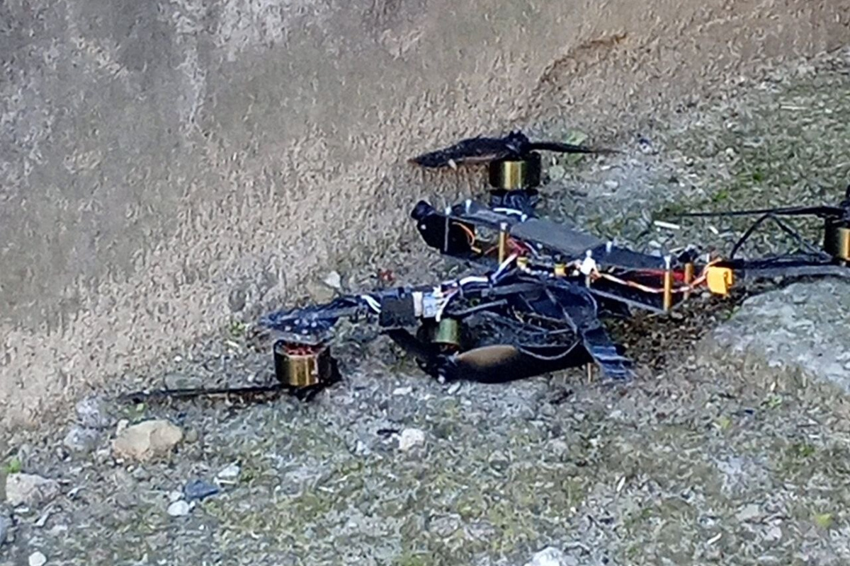    Фото: телеграм-канал Владимира Сальдо