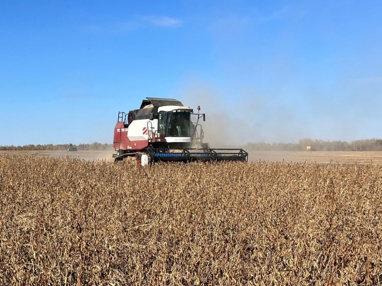    Фото: Пресс-служба Министерства сельского хозяйства и продовольствия Хабаровского края