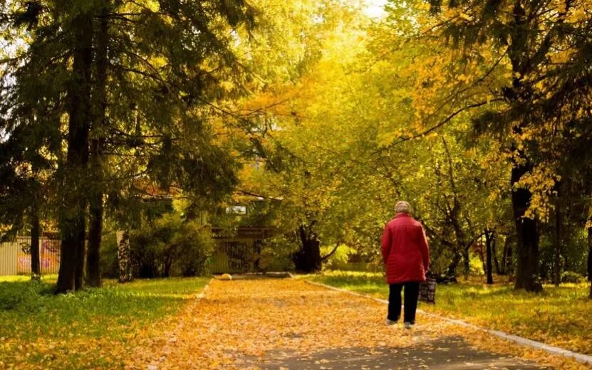    Дефицит бензина, нищета как стимул и неадекватный водитель автобуса: что обсуждают ижевчане в соцсетях 17 октября