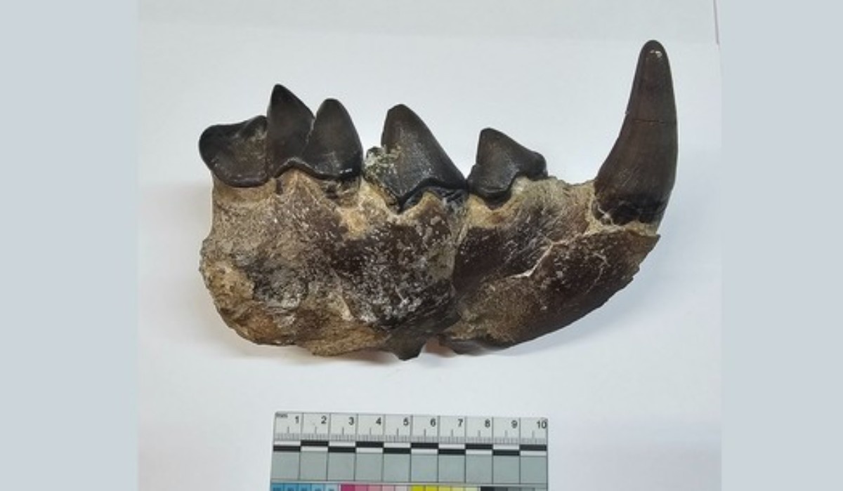 Фото: Данияр Хантемиров