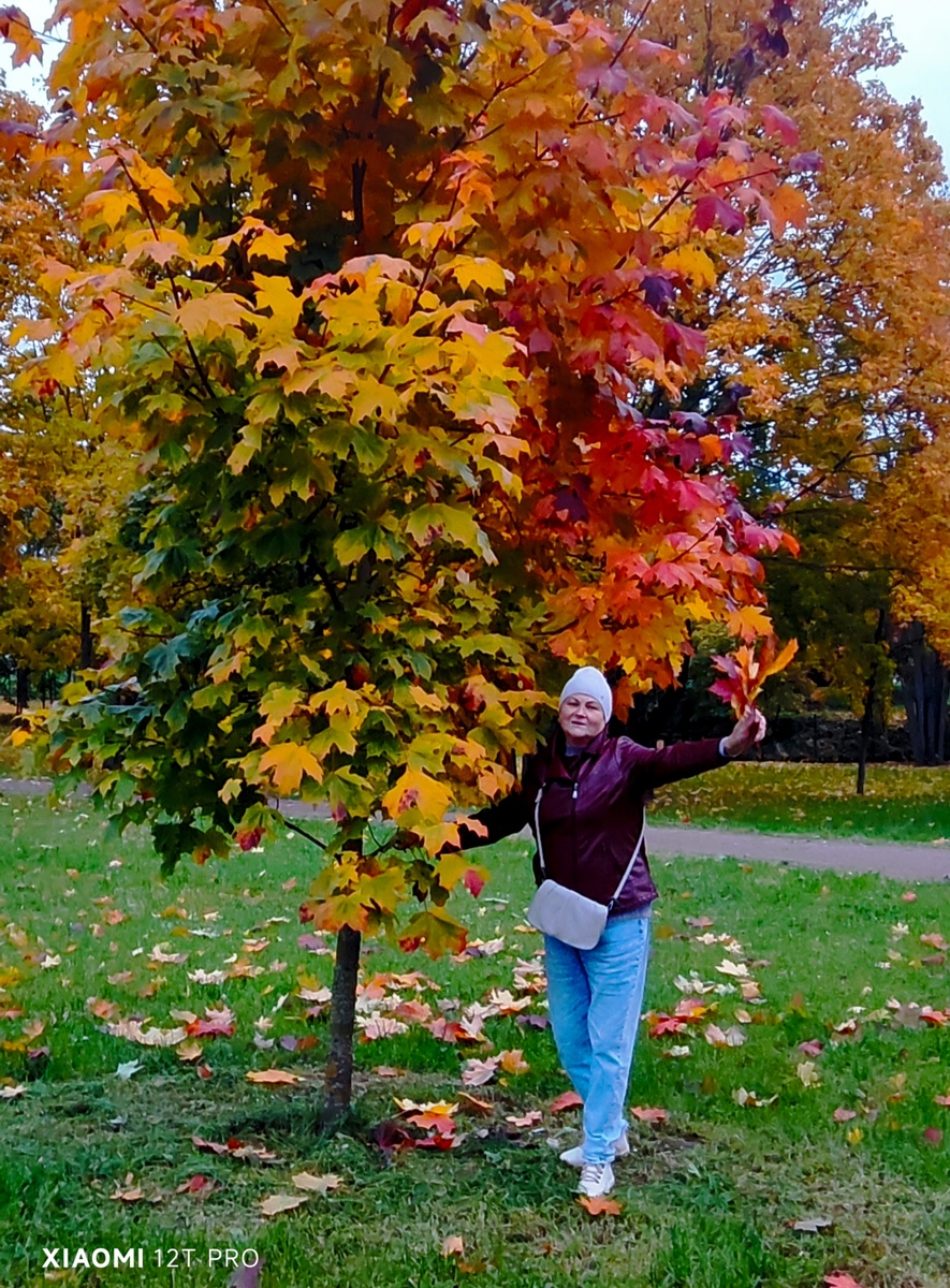 В парке у клёна Лана.
