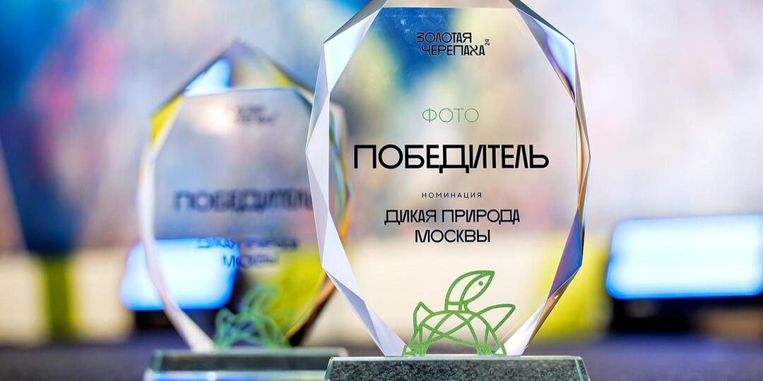 Выбраны победители конкурса «Дикая природа Москвы»