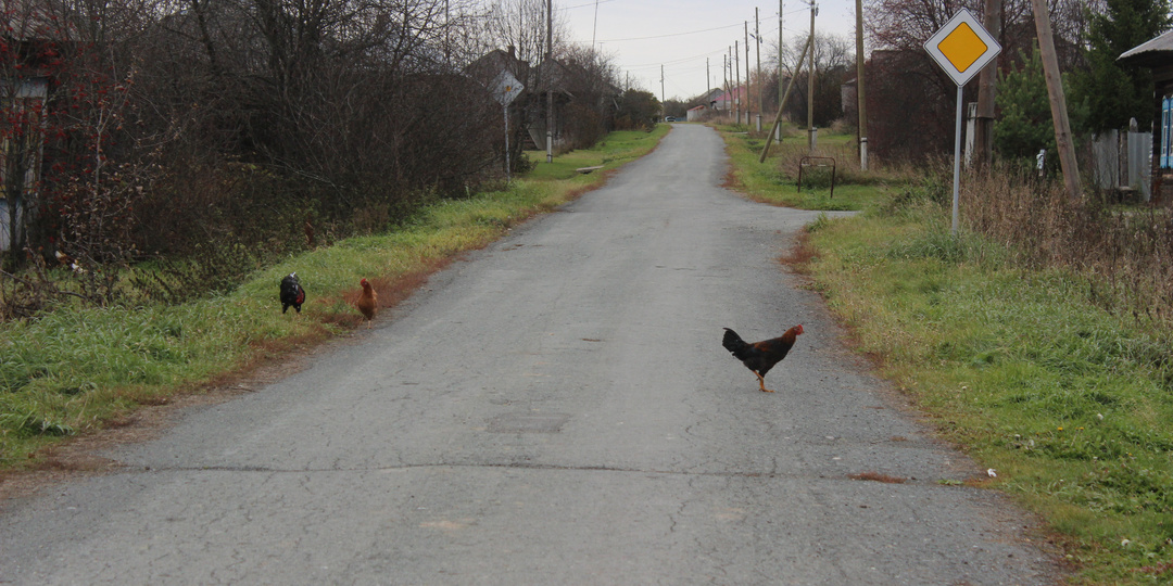 Нелёгкая доля Кузнецово