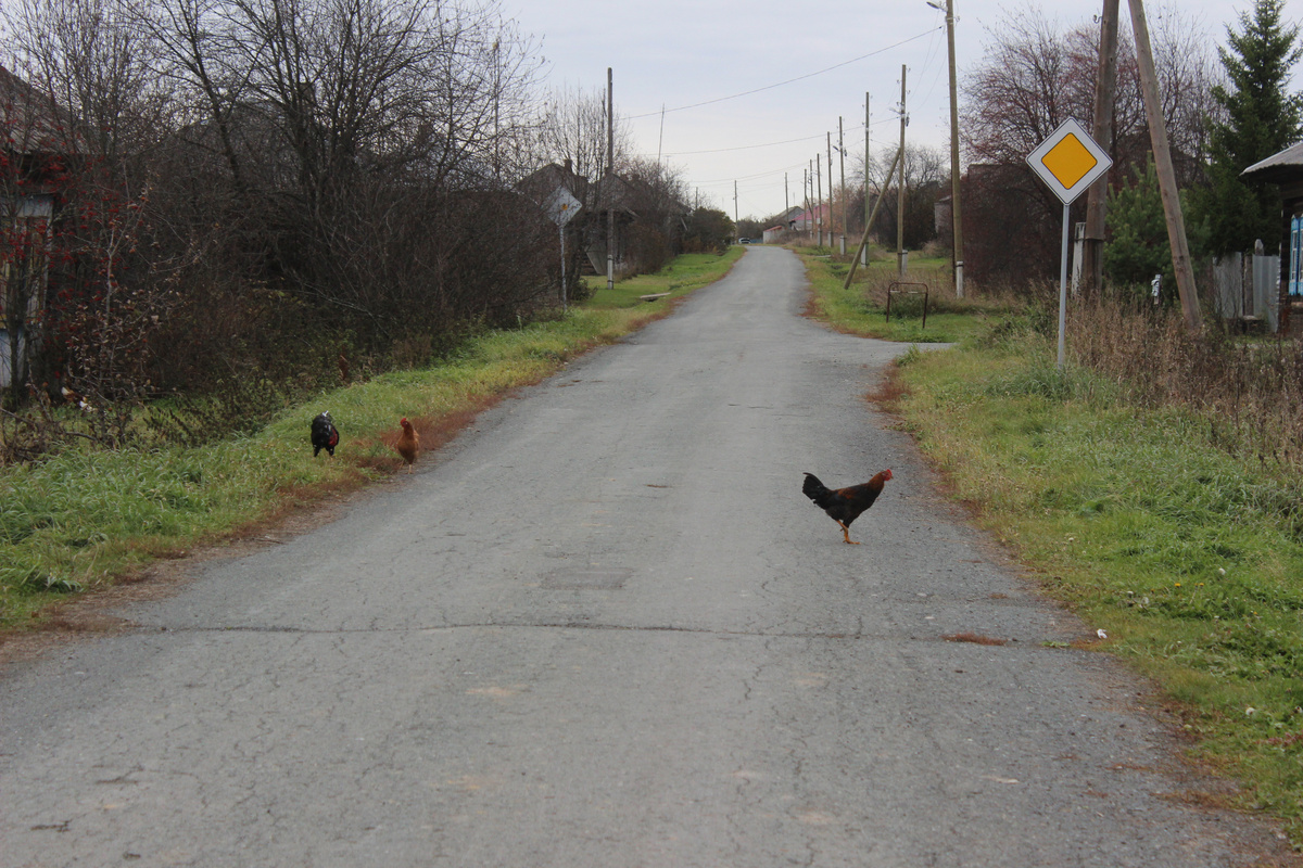 Пустынные  улочки деревни Кузнецово  