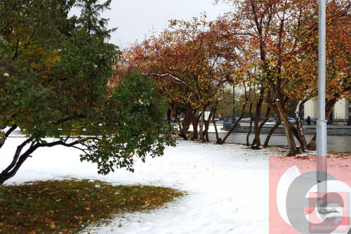    Фото: Прецедент