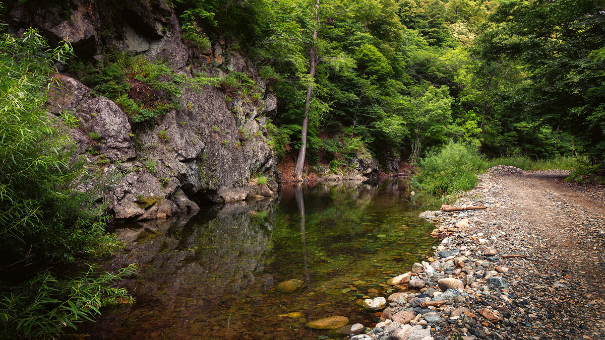 Приморская тайга. Источник: fotokto.ru