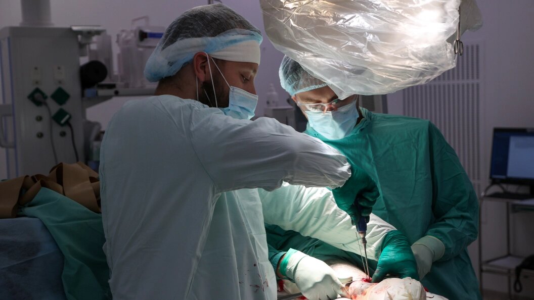    Belkin Alexey/Globallookpress