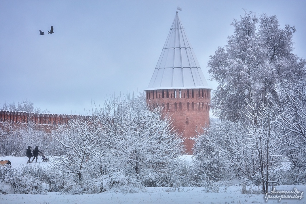 Фото: Александр Григорченков (https://vk.com/id465027013) 