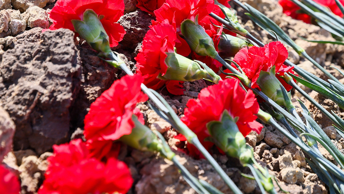   Александр Река / ТАСС