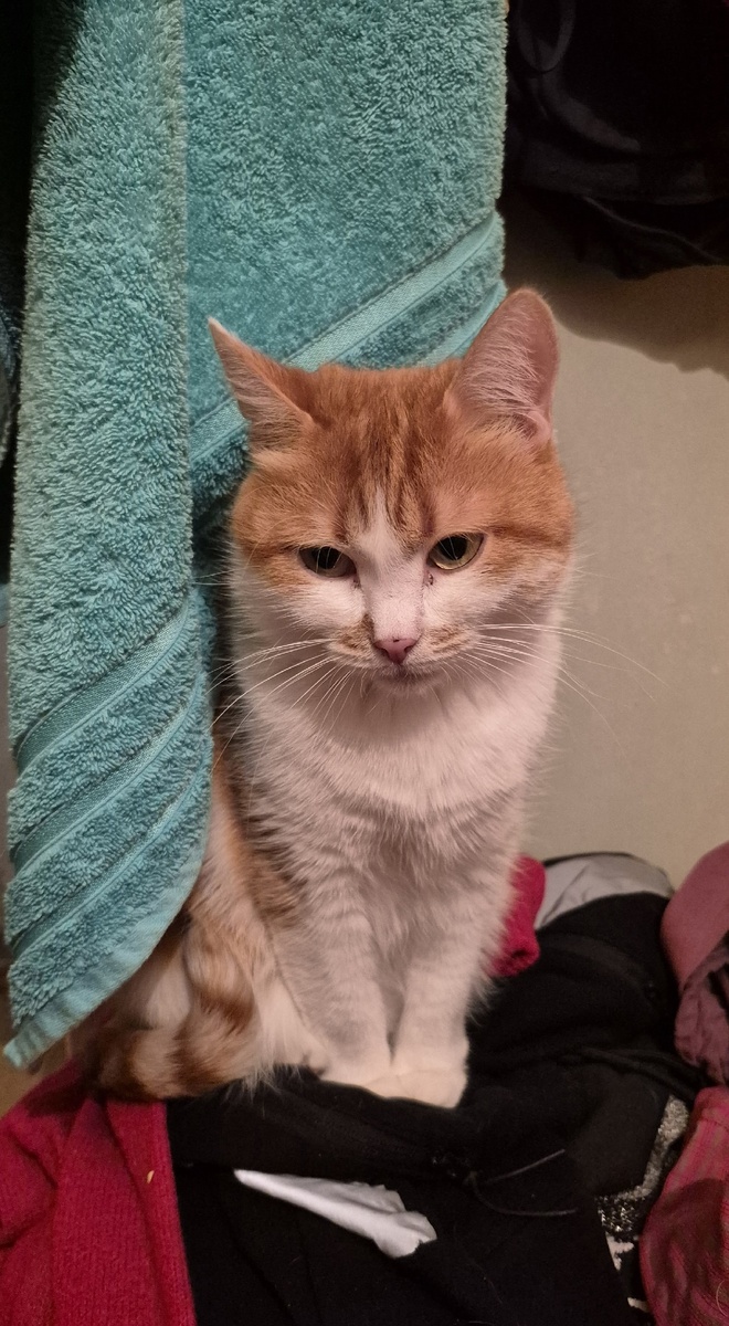 тоже не выспалась