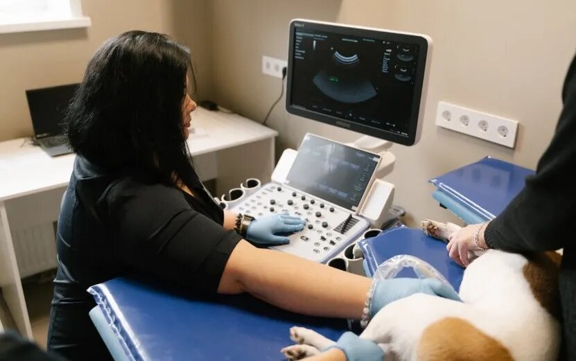    Новую государственную ветклинику открыли в Ижевске