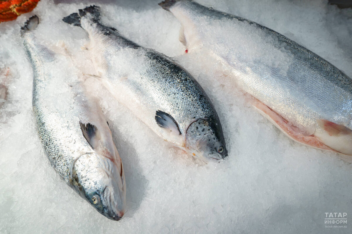 Фото: © Владимир Васильев / «Татар-информ»