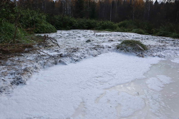    Губернатор взял на контроль сброс отходов в Макарье