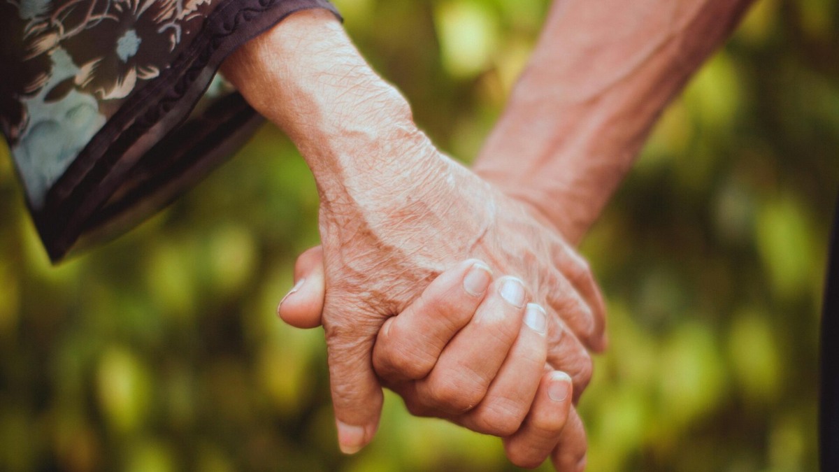    Они делают всё: от уроков кулинарии до эмоциональной поддержки. Источник изображения: libertaddigital.com