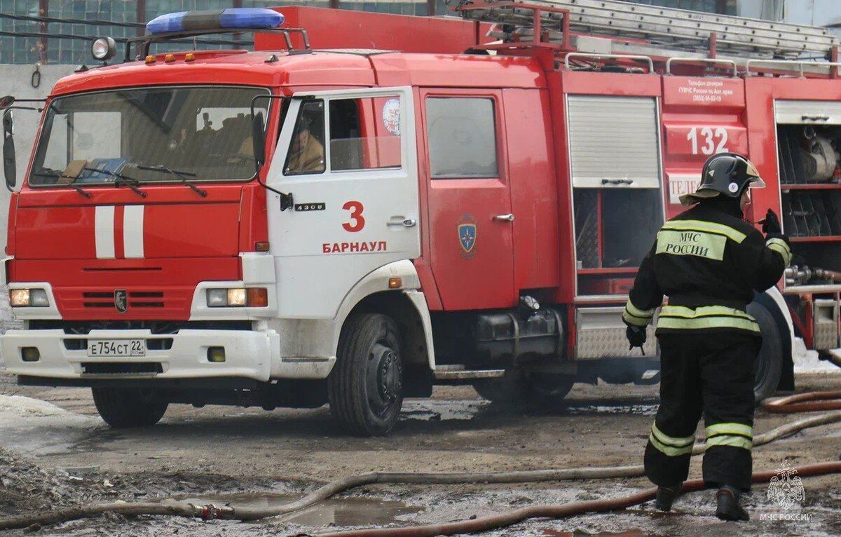     / Источник: МЧС Алтайского края