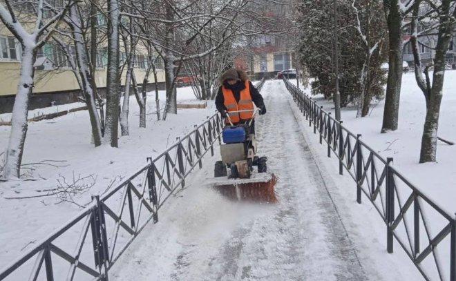    © Заневское городское поселение