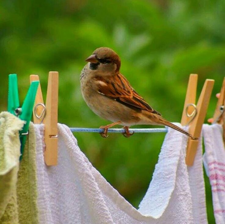 Фото из Pinterest