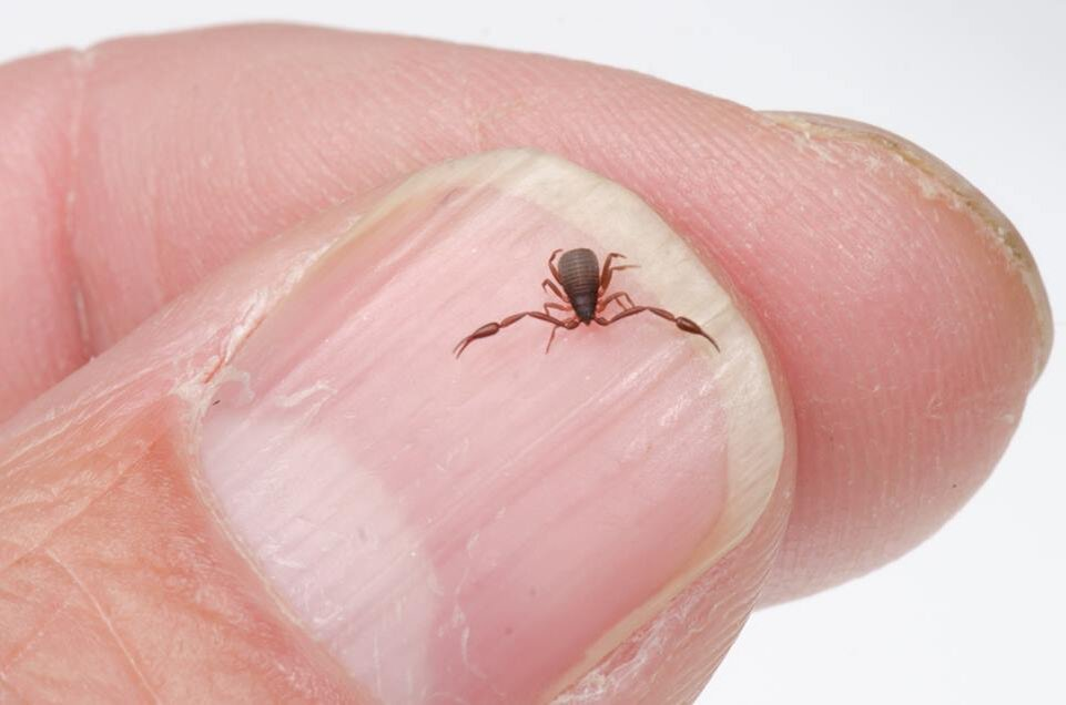 ���������� �� ������ � ���������.