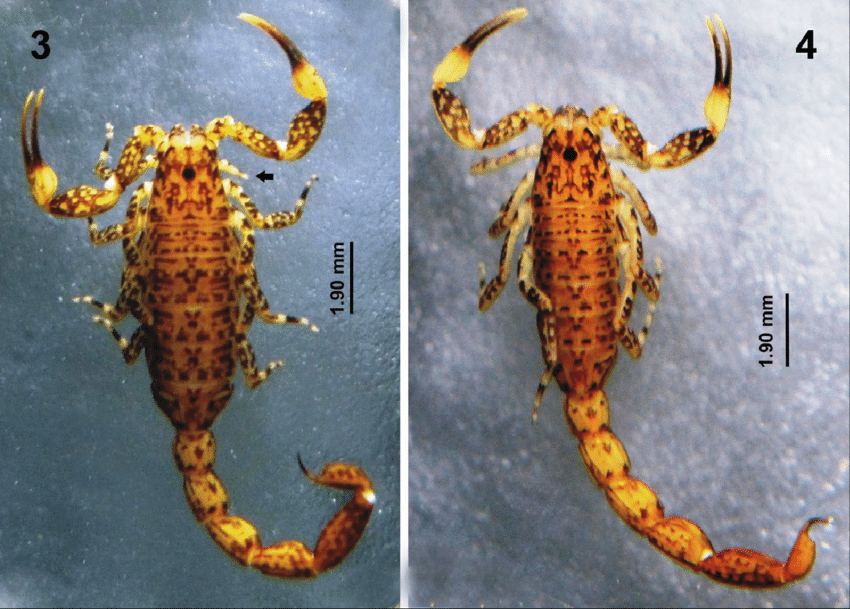 ����� ���������� � �����, ���� ����� ������!