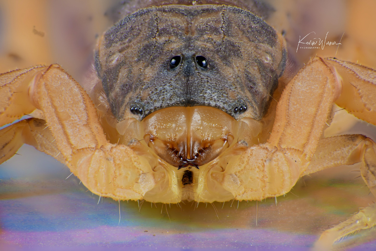 �� ����� ���������� ��������� ����, �� ��� �� ������ ����������� ����� �� ������. ���� ��� ������� ������ ���������� ���������!