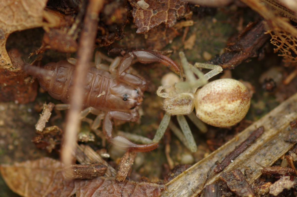 �� ���, �����������, ����� ��. ������ � ����� ����!