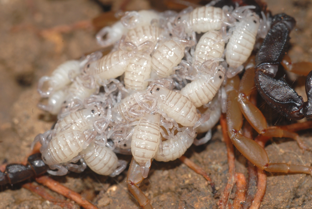 ���������� ���� ��������� ���-�� ��� ����� ���� �������.