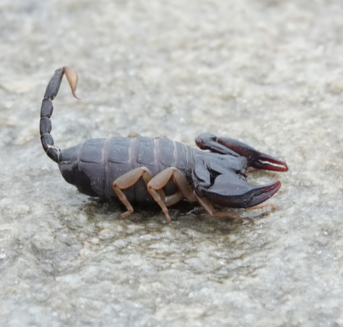 ������-�� ��� �������, ��� �� ������� �� ������ ����������� ���������.